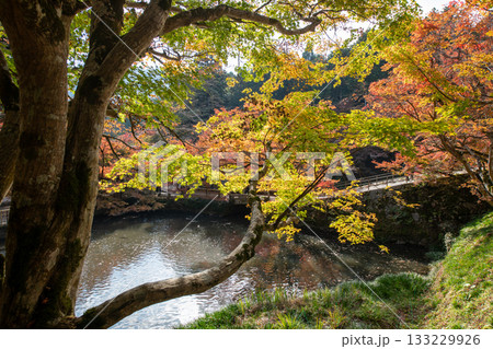 兵庫県丹波市にある円通寺の紅葉 兵庫県丹波市にある円通寺の紅葉 133229926