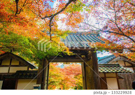 兵庫県丹波市にある円通寺の紅葉 133229928