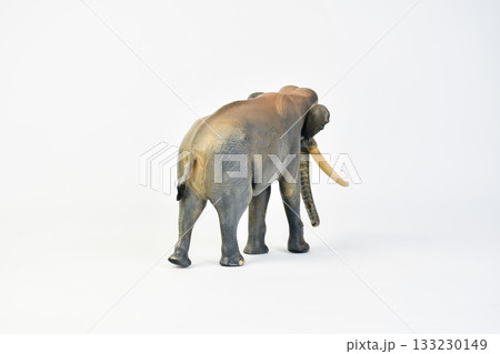 Stegodon animal on isolated background Stegodon animal on isolated background 133230149