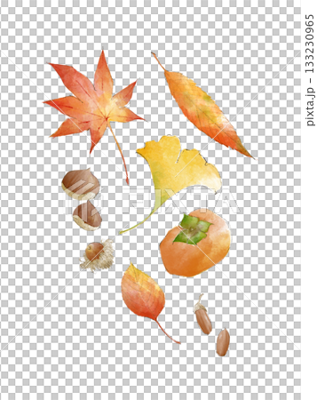 水彩で描いた落ち葉とどんぐり、柿、栗のイラスト 133230965