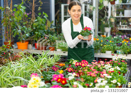 Woman seller holding common primrose in flower shop Woman seller holding common primrose in flower shop 133231007