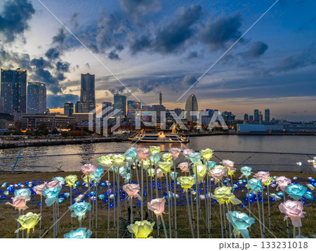 大さん橋のイルミネーションとみなとみらいの夜景 133231018