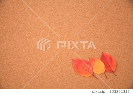 紅葉の葉 紅葉の葉 133231315