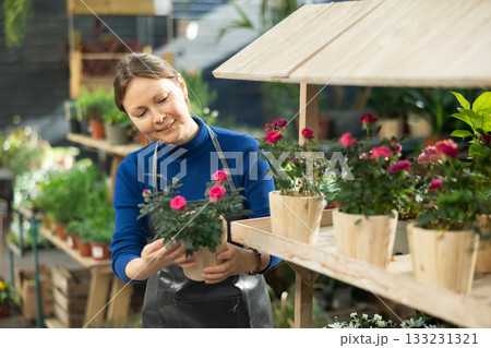 Gardener woman holding potted rose in container garden Gardener woman holding potted rose in container garden 133231321