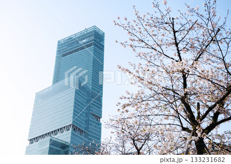 春の天王寺公園 133231682