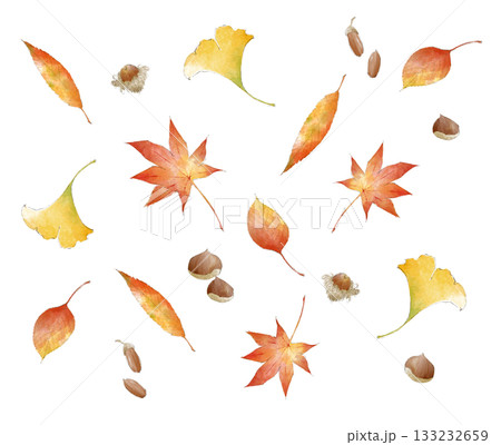 舞い落ちる紅葉と木の実の水彩風パターン 舞い落ちる紅葉と木の実の水彩風パターン 133232659
