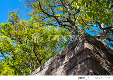 大阪城公園の風景 大阪城公園の風景 133232882