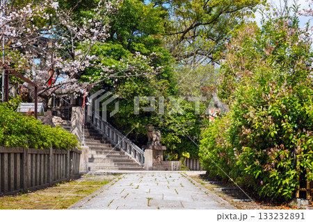 春の真田山 三光神社 春の真田山 三光神社 133232891