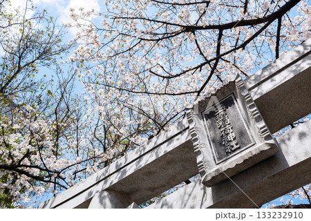 春の玉造稲荷神社 春の玉造稲荷神社 133232910
