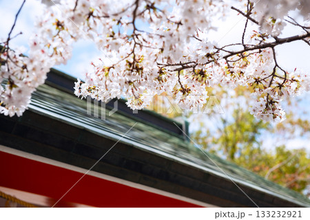 春の玉造稲荷神社 133232921
