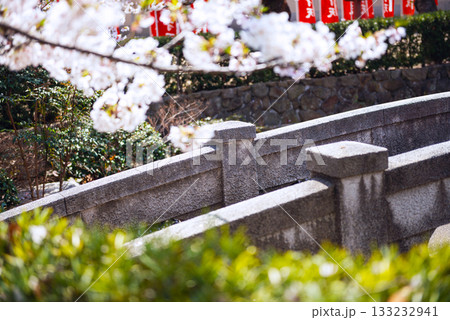 四天王寺の風景 133232941