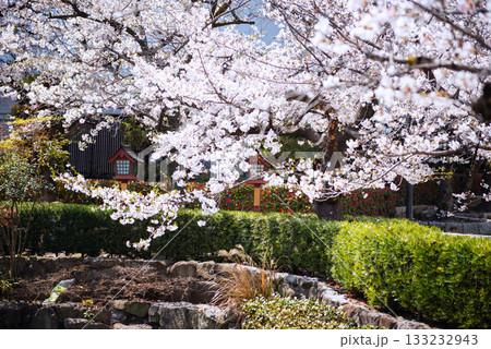 四天王寺の風景 四天王寺の風景 133232943