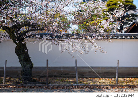 四天王寺の風景 133232944