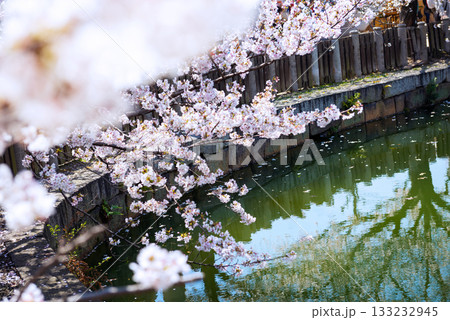四天王寺の風景 133232945