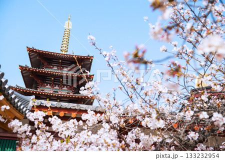 四天王寺の風景 四天王寺の風景 133232954
