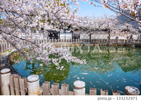 四天王寺の風景 133232971