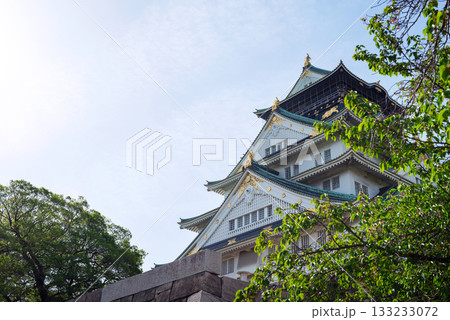 大阪城公園の風景 大阪城公園の風景 133233072