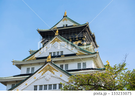 大阪城公園の風景 大阪城公園の風景 133233075