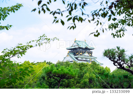 大阪城公園の風景 133233099