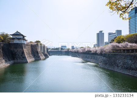 春の大阪城公園の風景 133233134