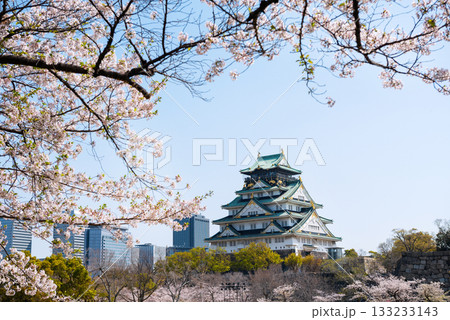 春の大阪城公園の風景 春の大阪城公園の風景 133233143