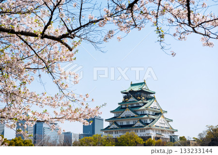 春の大阪城公園の風景 春の大阪城公園の風景 133233144