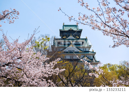 春の大阪城公園の風景 133233211