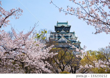 春の大阪城公園の風景 133233212