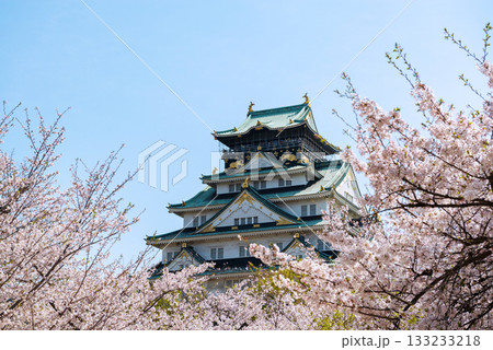 春の大阪城公園の風景 春の大阪城公園の風景 133233218