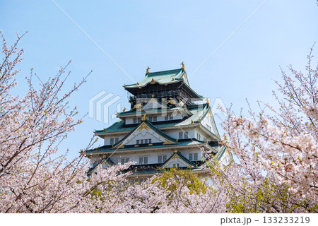 春の大阪城公園の風景 133233219