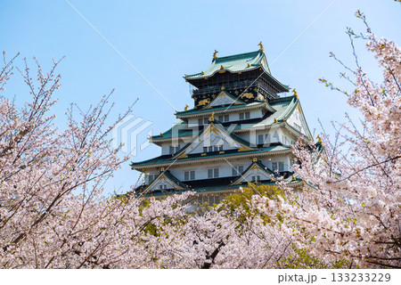 春の大阪城公園の風景 133233229