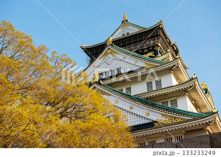 春の大阪城公園の風景 133233249