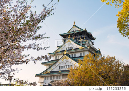 春の大阪城公園の風景 春の大阪城公園の風景 133233256