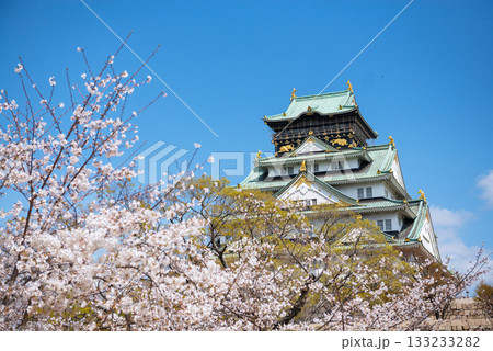 春の大阪城公園の風景 春の大阪城公園の風景 133233282