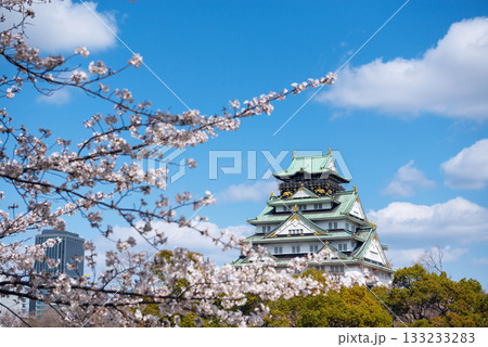 春の大阪城公園の風景 133233283