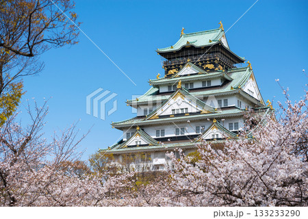 春の大阪城公園の風景 133233290