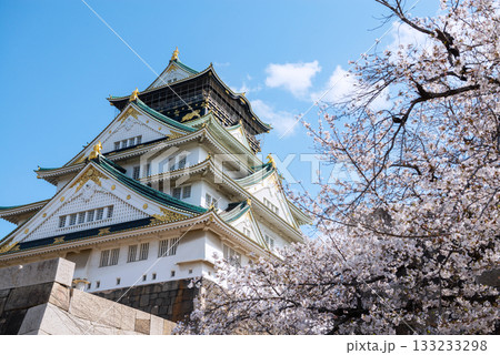 春の大阪城公園の風景 133233298