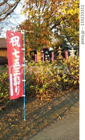 秋のイベント　七五三詣り　田舎の神社 133233312