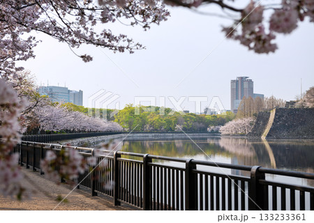 春の大阪城公園の風景 133233361