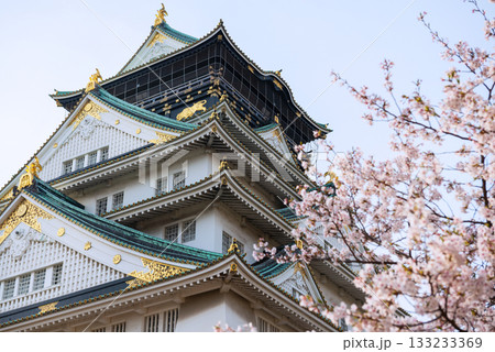 春の大阪城公園の風景 春の大阪城公園の風景 133233369