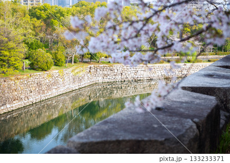 春の大阪城公園の風景 133233371