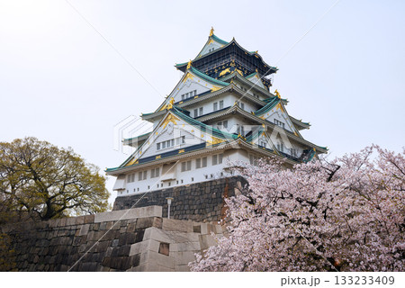 春の大阪城公園の風景 133233409