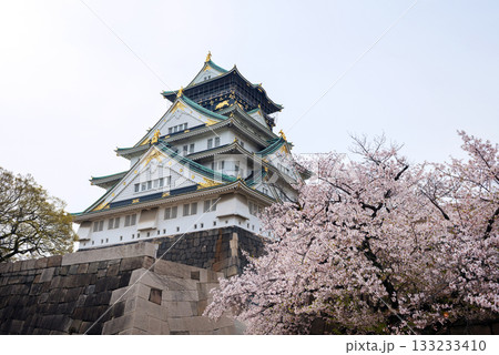 春の大阪城公園の風景 春の大阪城公園の風景 133233410