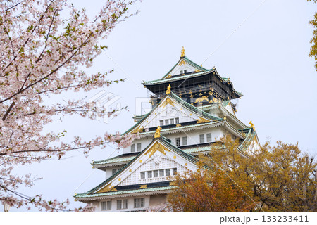 春の大阪城公園の風景 春の大阪城公園の風景 133233411