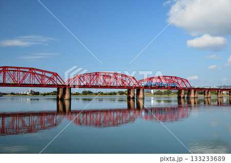 紀ノ川橋梁を走るめでたい電車(南海電鉄)　【和歌山県和歌山市】 133233689