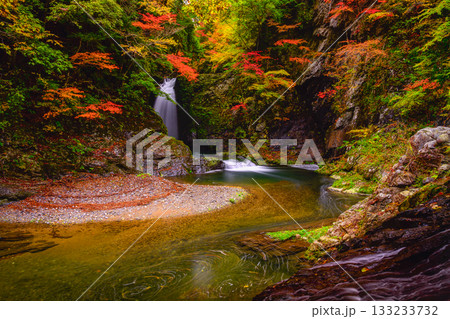 散りばめられた紅葉と滝の流れ 133233732