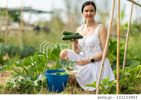 Adult woman with zucchini harvest in garden Adult woman with zucchini harvest in garden 133233903