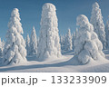 樹氷：美しい冬の絶景、雪化粧した森と青空 133233909