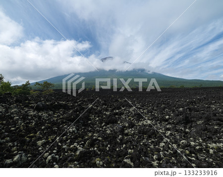 焼き走り溶岩流 -岩手山（特別天然記念物） 133233916
