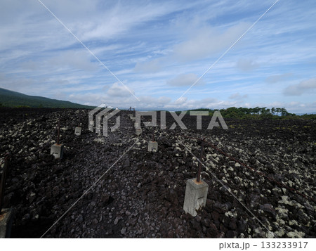焼き走り溶岩流 -岩手山（特別天然記念物） 133233917